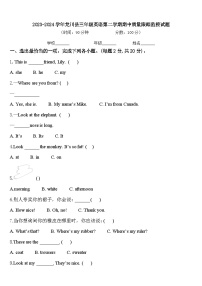 2023-2024学年龙川县三年级英语第二学期期中质量跟踪监视试题含答案