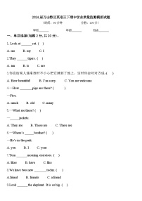 2024届万山特区英语三下期中学业质量监测模拟试题含答案