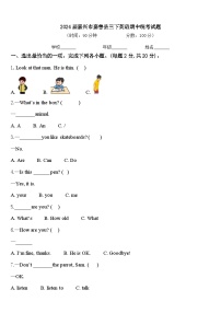 2024届嘉兴市嘉善县三下英语期中统考试题含答案