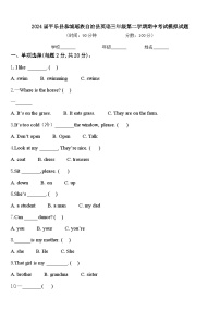 2024届平乐县恭城瑶族自治县英语三年级第二学期期中考试模拟试题含答案