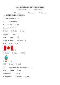 2024届岳阳市临湘市英语三下期中检测试题含答案