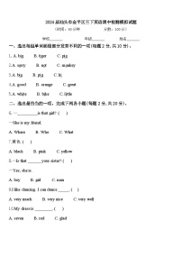 2024届汕头市金平区三下英语期中检测模拟试题含答案