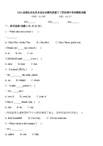 2024届湖北省宜昌市远安县栖凤联盟三下英语期中考试模拟试题含答案