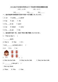 2024届辽宁省沈阳市苏家屯区三下英语期中质量检测模拟试题含答案