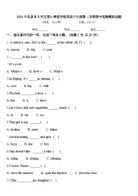 2024年北京市大兴区爱心希望学校英语三年级第二学期期中监测模拟试题含答案