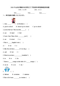 2024年山东省聊城市东昌府区三下英语期中质量跟踪监视试题含答案