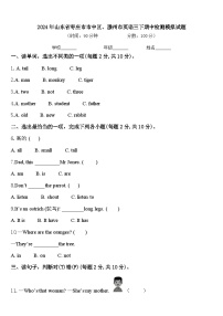 2024年山东省枣庄市市中区、滕州市英语三下期中检测模拟试题含答案