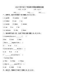 2024年寿宁县三下英语期中质量检测模拟试题含答案