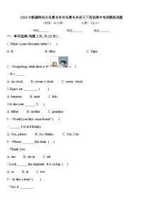 2024年新疆维吾尔乌鲁木齐市乌鲁木齐县三下英语期中考试模拟试题含答案