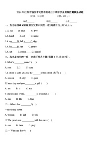 2024年江苏省镇江市句容市英语三下期中学业质量监测模拟试题含答案