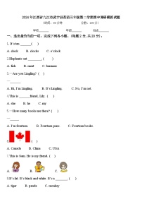 2024年江西省九江市武宁县英语三年级第二学期期中调研模拟试题含答案