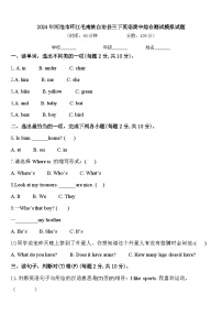 2024年河池市环江毛南族自治县三下英语期中综合测试模拟试题含答案