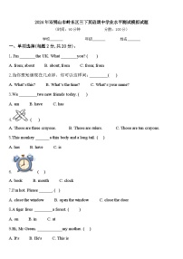 2024年双鸭山市岭东区三下英语期中学业水平测试模拟试题含答案