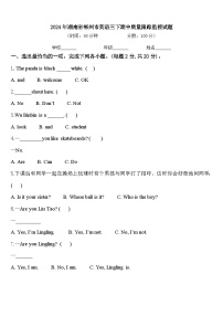 2024年湖南省郴州市英语三下期中质量跟踪监视试题含答案