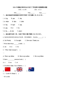 2024年湖南省郴州市永兴县三下英语期中监测模拟试题含答案