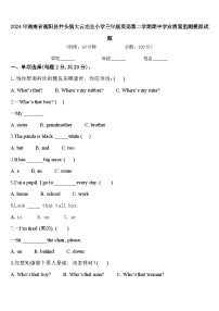 2024年湖南省衡阳县井头镇大云完全小学三年级英语第二学期期中学业质量监测模拟试题含答案