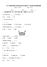 2024年湖南省湘西土家族苗族自治州永顺县三下英语期中统考模拟试题含答案