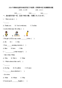 2024年湖南省益阳市南县英语三年级第二学期期中复习检测模拟试题含答案