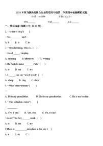 2024年耿马傣族佤族自治县英语三年级第二学期期中检测模拟试题含答案