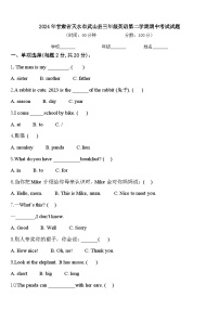 2024年甘肃省天水市武山县三年级英语第二学期期中考试试题含答案