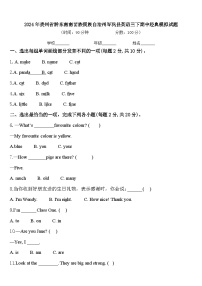 2024年贵州省黔东南南苗族侗族自治州岑巩县英语三下期中经典模拟试题含答案