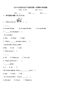 2024年达州市达县三年级英语第二学期期中考试试题含答案