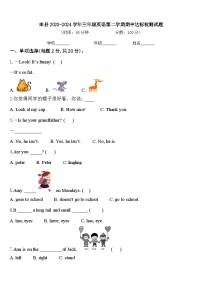 丰县2023-2024学年三年级英语第二学期期中达标检测试题含答案