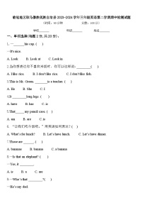 临沧地区耿马傣族佤族自治县2023-2024学年三年级英语第二学期期中检测试题含答案