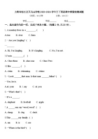 上海市松江区天马山学校2023-2024学年三下英语期中质量检测试题含答案