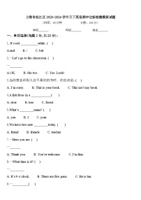 上海市松江区2023-2024学年三下英语期中达标检测模拟试题含答案