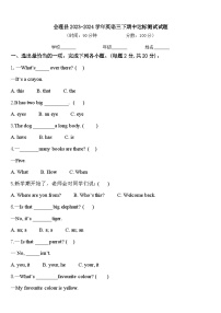 会理县2023-2024学年英语三下期中达标测试试题含答案