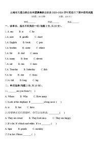 云南省大理白族自治州漾濞彝族自治县2023-2024学年英语三下期中联考试题含答案