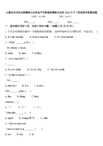 云南省红河哈尼族彝族自治州金平苗族瑶族傣族自治县2024年三下英语期中监测试题含答案