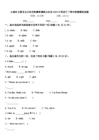 云南省玉溪市元江哈尼族彝族傣族自治县2024年英语三下期中检测模拟试题含答案