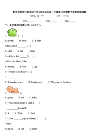 北京市海淀区地实验小学2024届英语三年级第二学期期中质量检测试题含答案