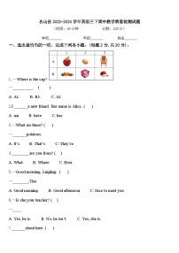 名山县2023-2024学年英语三下期中教学质量检测试题含答案