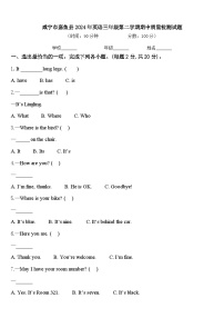 咸宁市嘉鱼县2024年英语三年级第二学期期中质量检测试题含答案