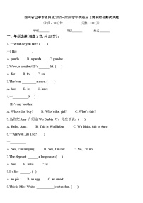 四川省巴中市恩阳区2023-2024学年英语三下期中综合测试试题含答案