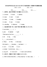 四川省泸州市合江县2023-2024学年三年级英语第二学期期中考试模拟试题含答案