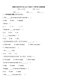 安徽省合肥市庐江县2024年英语三下期中复习检测试题含答案