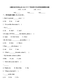 安徽省宿州市砀山县2024年三下英语期中学业质量监测模拟试题含答案