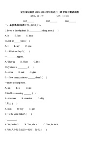 安庆市枞阳县2023-2024学年英语三下期中综合测试试题含答案