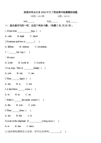 娄底市冷水江市2024年三下英语期中检测模拟试题含答案