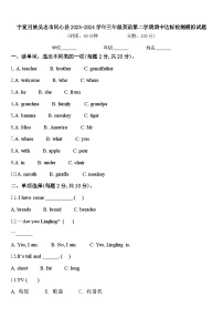 宁夏回族吴忠市同心县2023-2024学年三年级英语第二学期期中达标检测模拟试题含答案