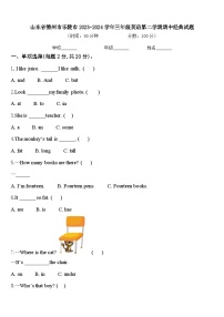 山东省德州市乐陵市2023-2024学年三年级英语第二学期期中经典试题含答案