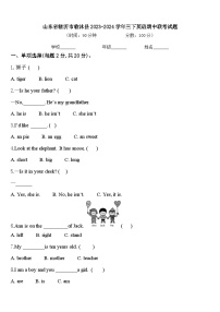 山东省临沂市临沐县2023-2024学年三下英语期中联考试题含答案