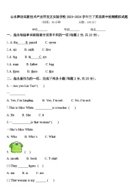 山东潍坊高新技术产业开发区实验学校2023-2024学年三下英语期中检测模拟试题含答案