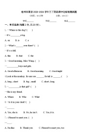 宿州市萧县2023-2024学年三下英语期中达标检测试题含答案