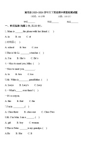 嵩明县2023-2024学年三下英语期中质量检测试题含答案