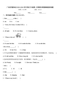 广东韶关新丰县2023-2024学年英语三年级第二学期期中质量跟踪监视试题含答案